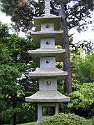 San Fran Vacation 116